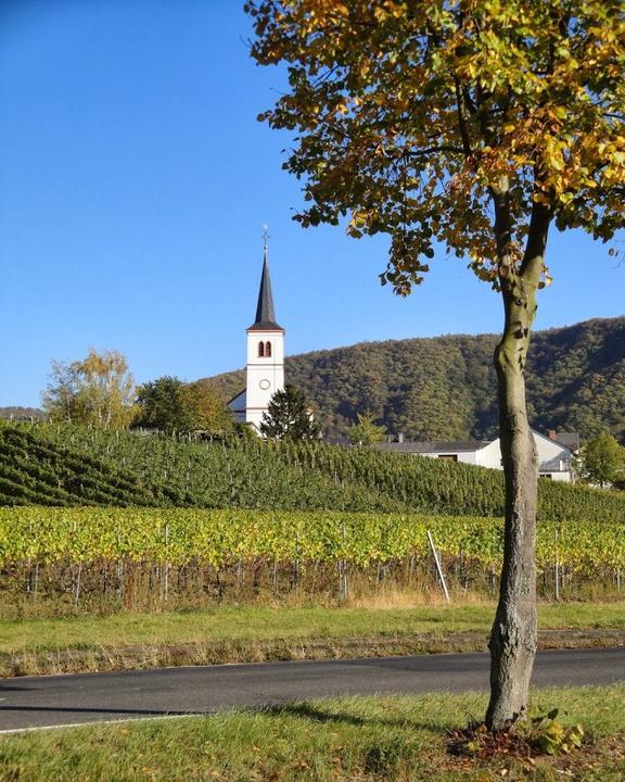 Weingut Thielen-Feilen